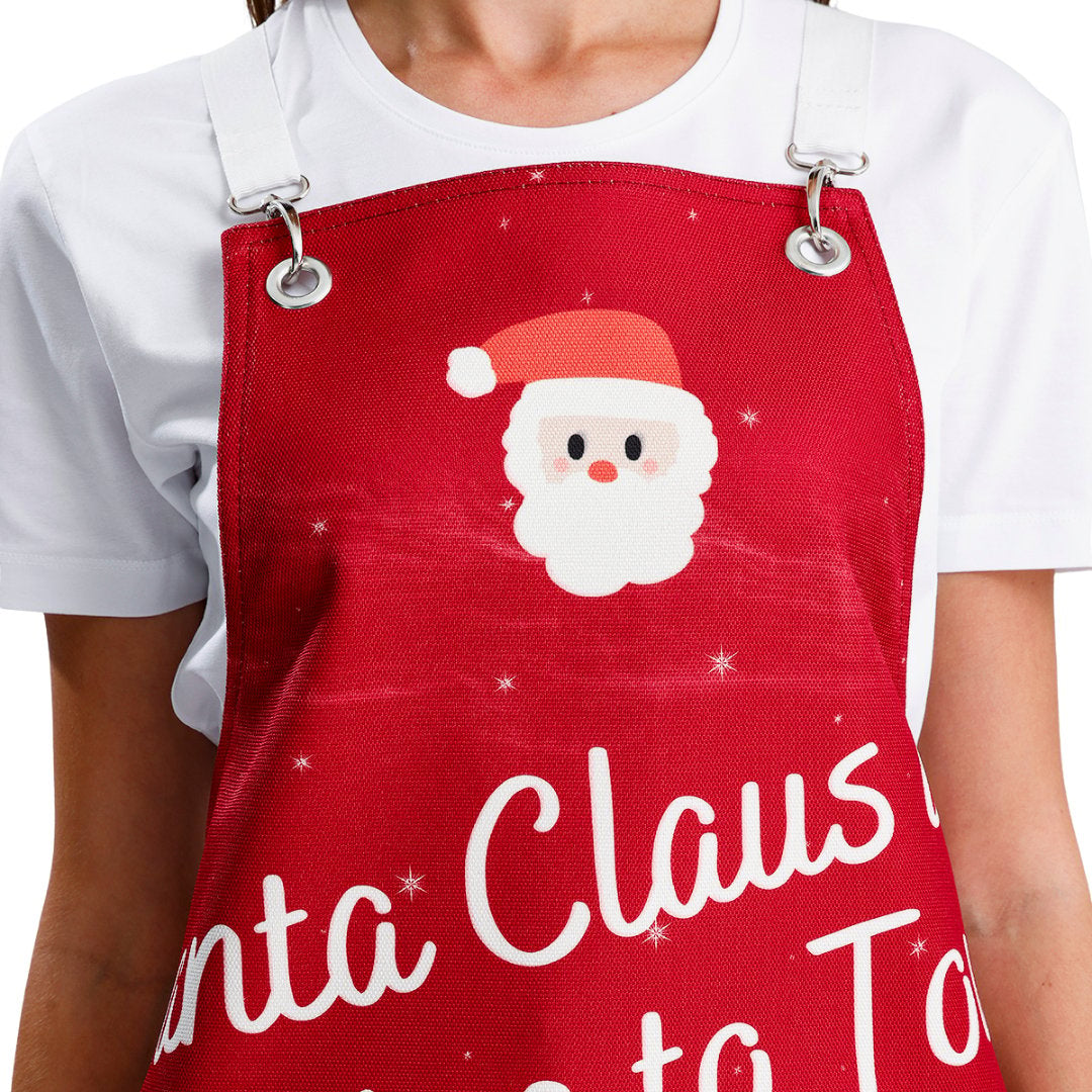 Winter Holiday Apron - Santa Claus Coming